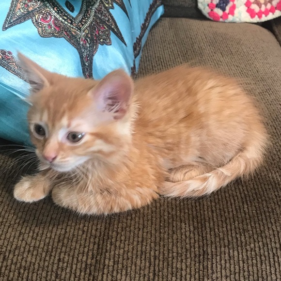 About me! - Picture 8 of 8